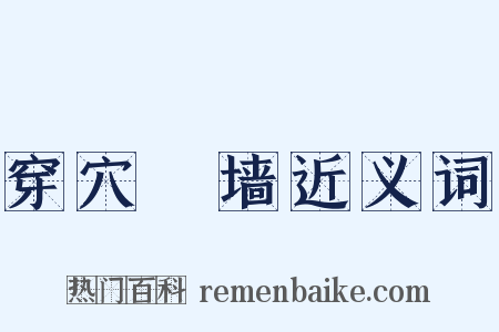 穿穴踰墙近义词是什么意思的图片